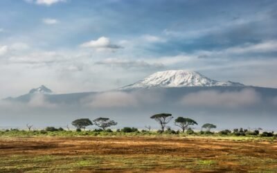 5 romans et récits qui se passent au Kenya